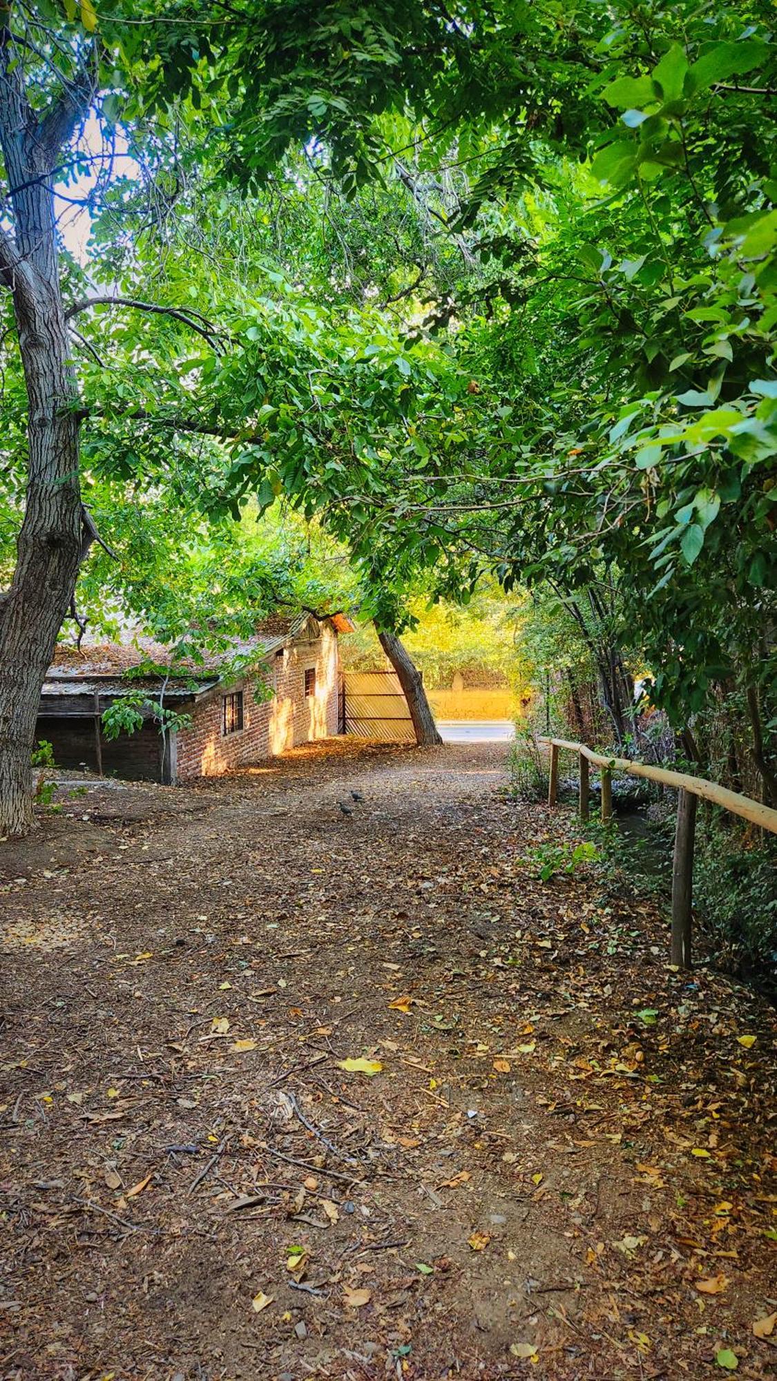 El Jardin, Eco Cabanas Boutique San Alfonso Extérieur photo